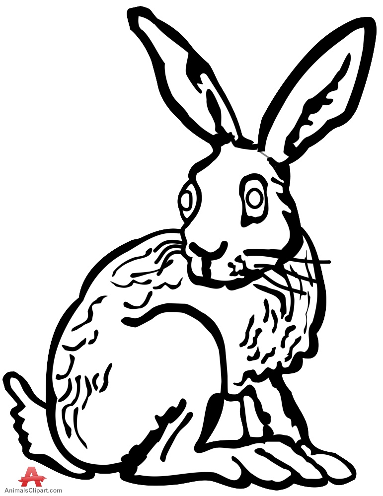 Outline Rabbit Drawing in Black and White | Free Clipart Design ...