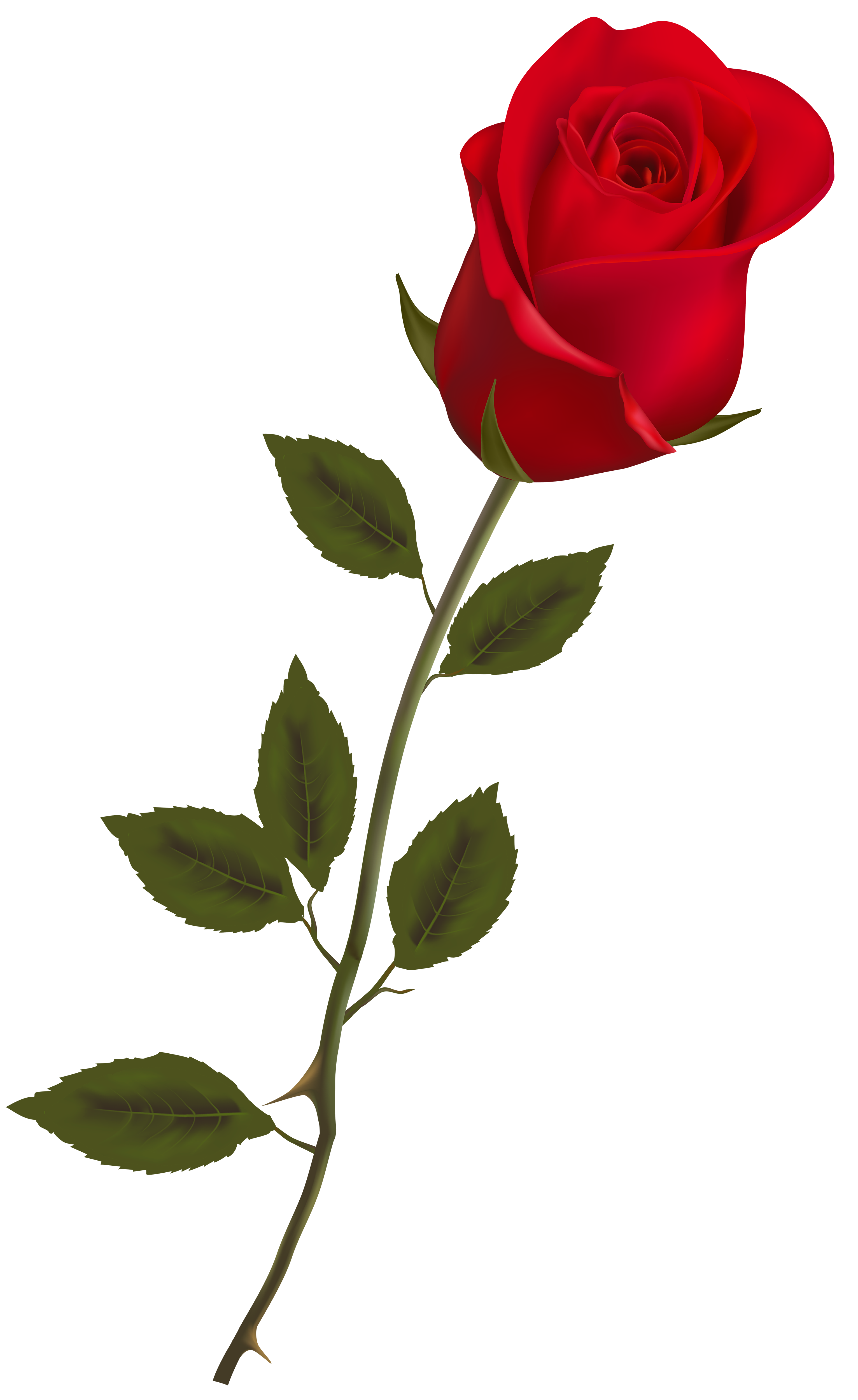 53+ Rose Stem Clipart