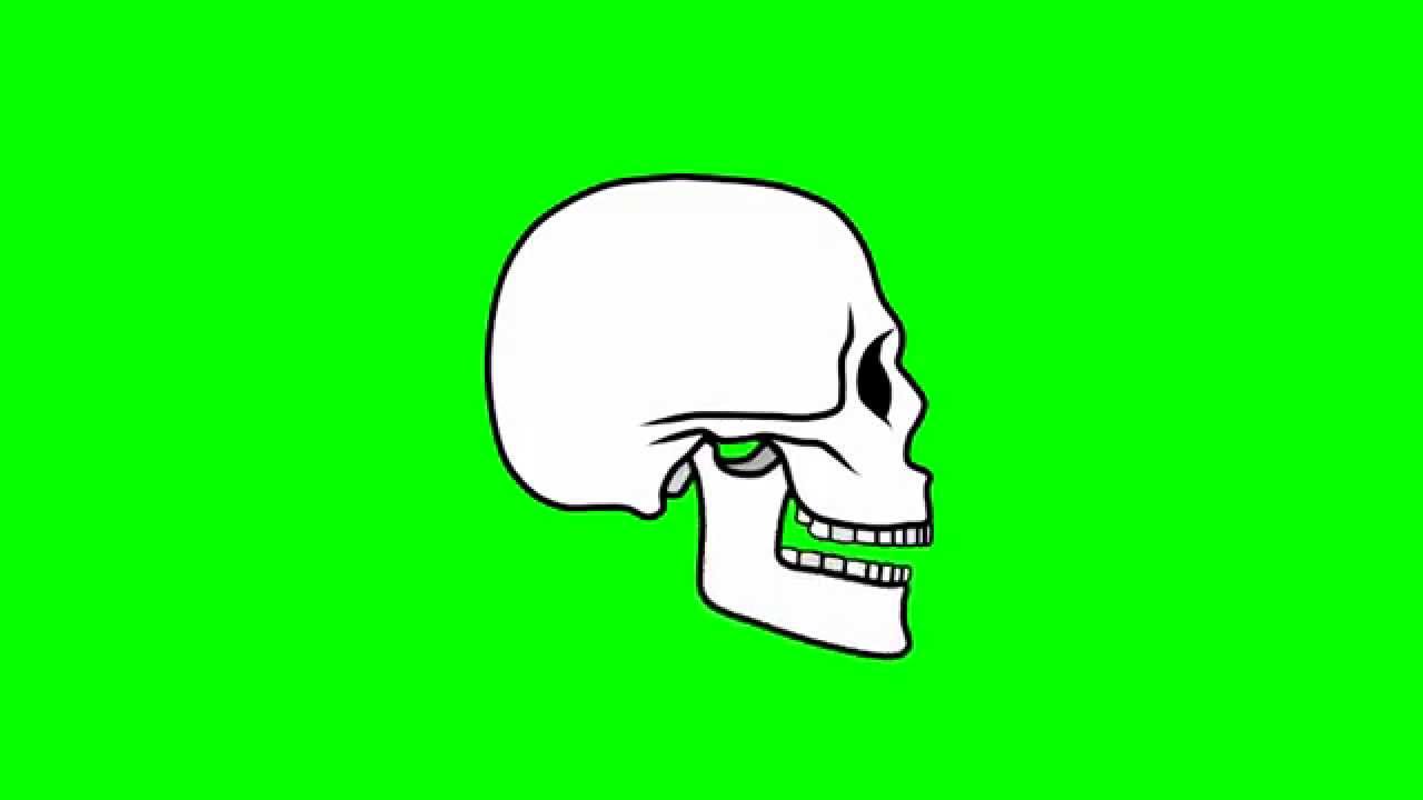 Animated Skull Side View ~ Green Screen - YouTube