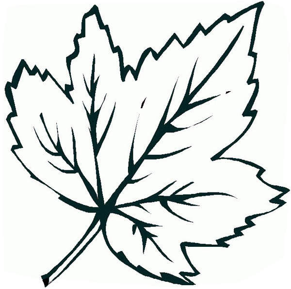 Free Autumn Leaves Coloring Pages - Free Coloring Sheets