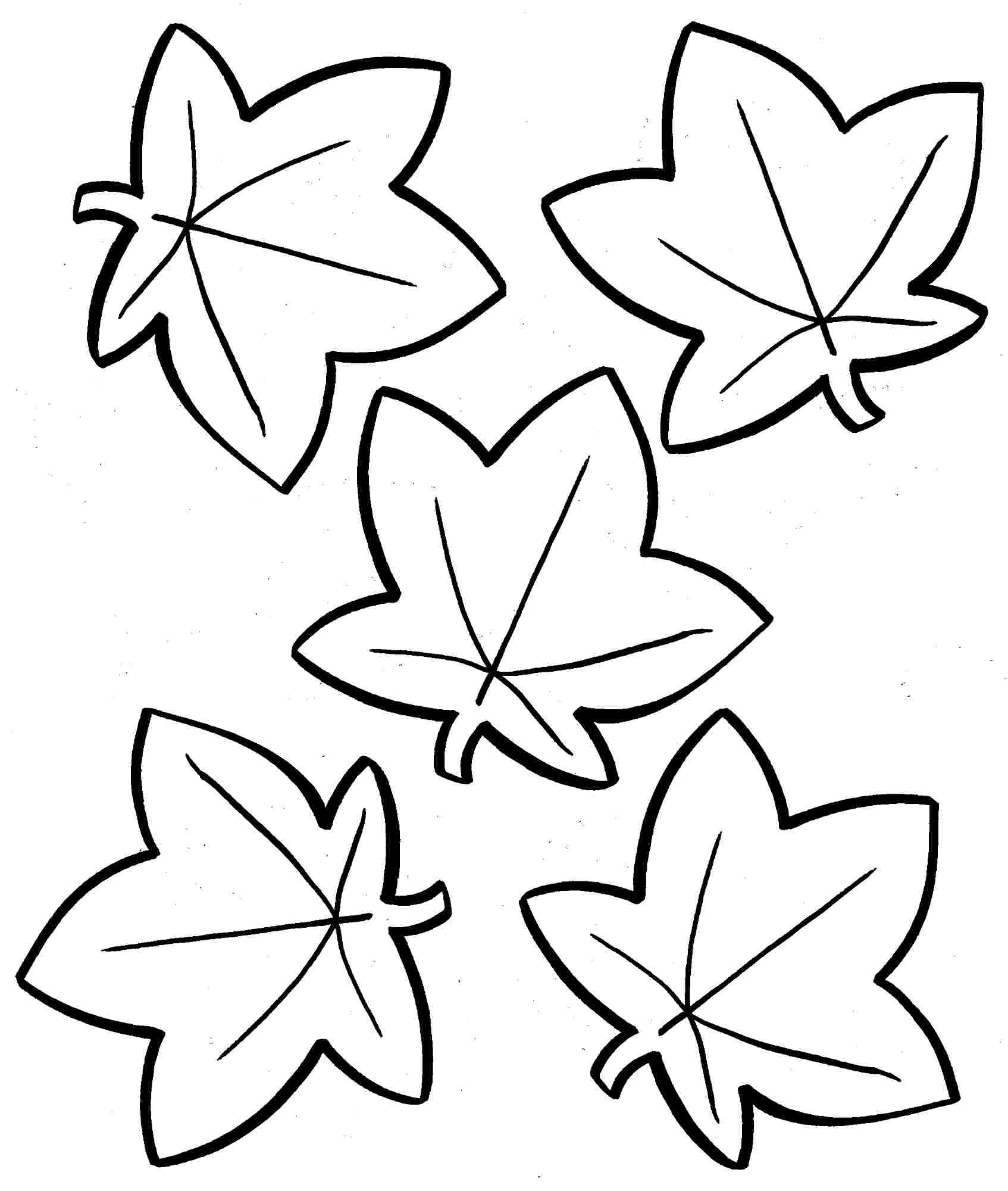 Hojas De Plantas Para Colorear Fall Coloring Pages Coloring Pages 