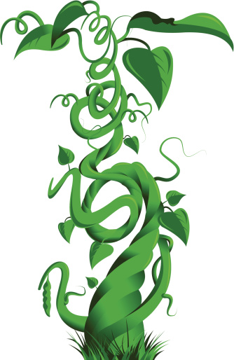 Beanstalk clipart