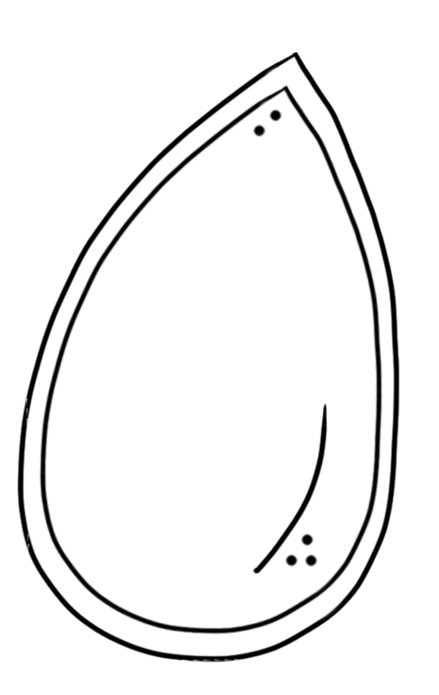 Seed Clip Art Black And White Clipart - Free to use Clip Art Resource
