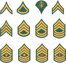 U.S. Marine Corps, enlisted rank insignia - vector image