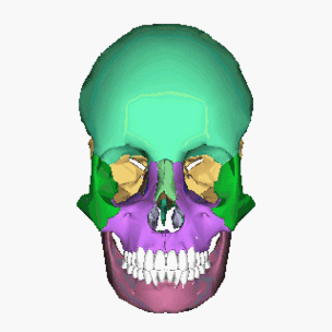 Animated Skull Clipart - Free to use Clip Art Resource
