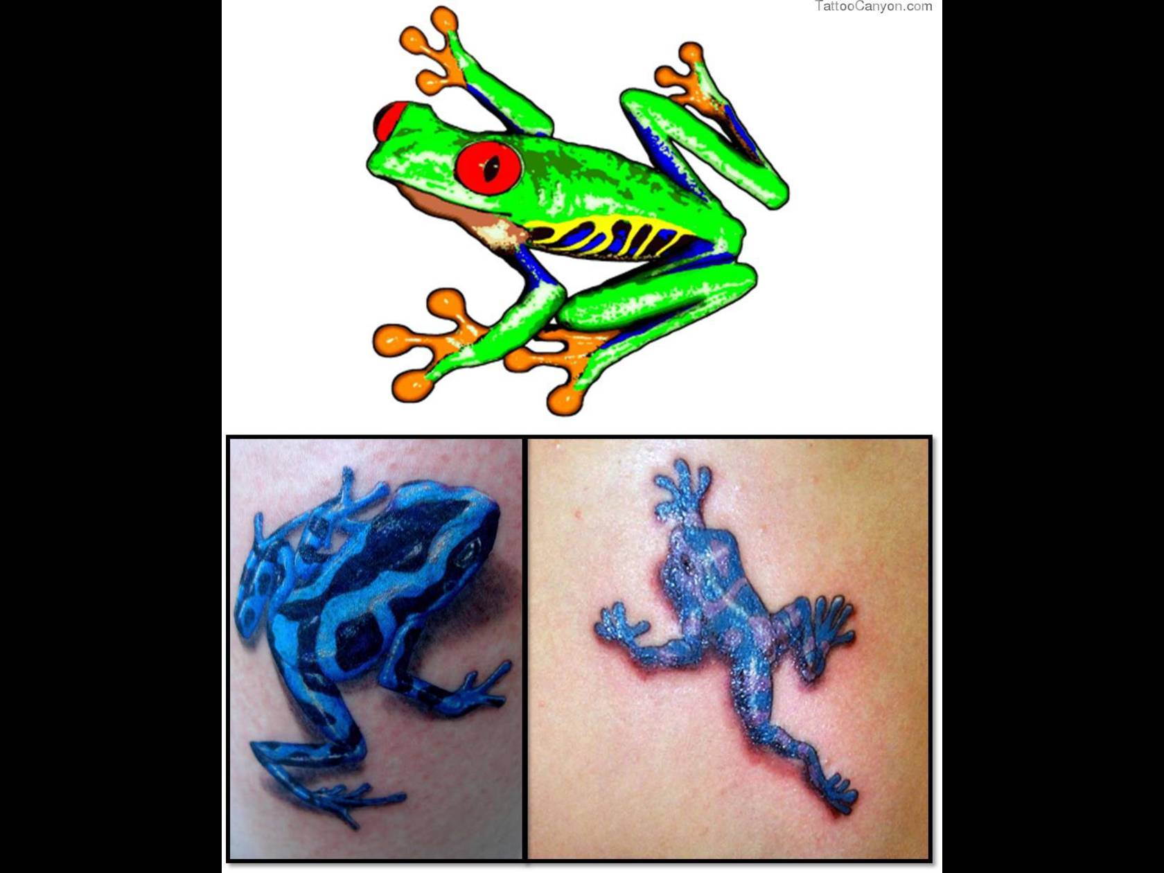 Tattoo Art Body Frog Tattoos Picture #