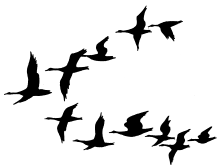 Flock of birds clipart free