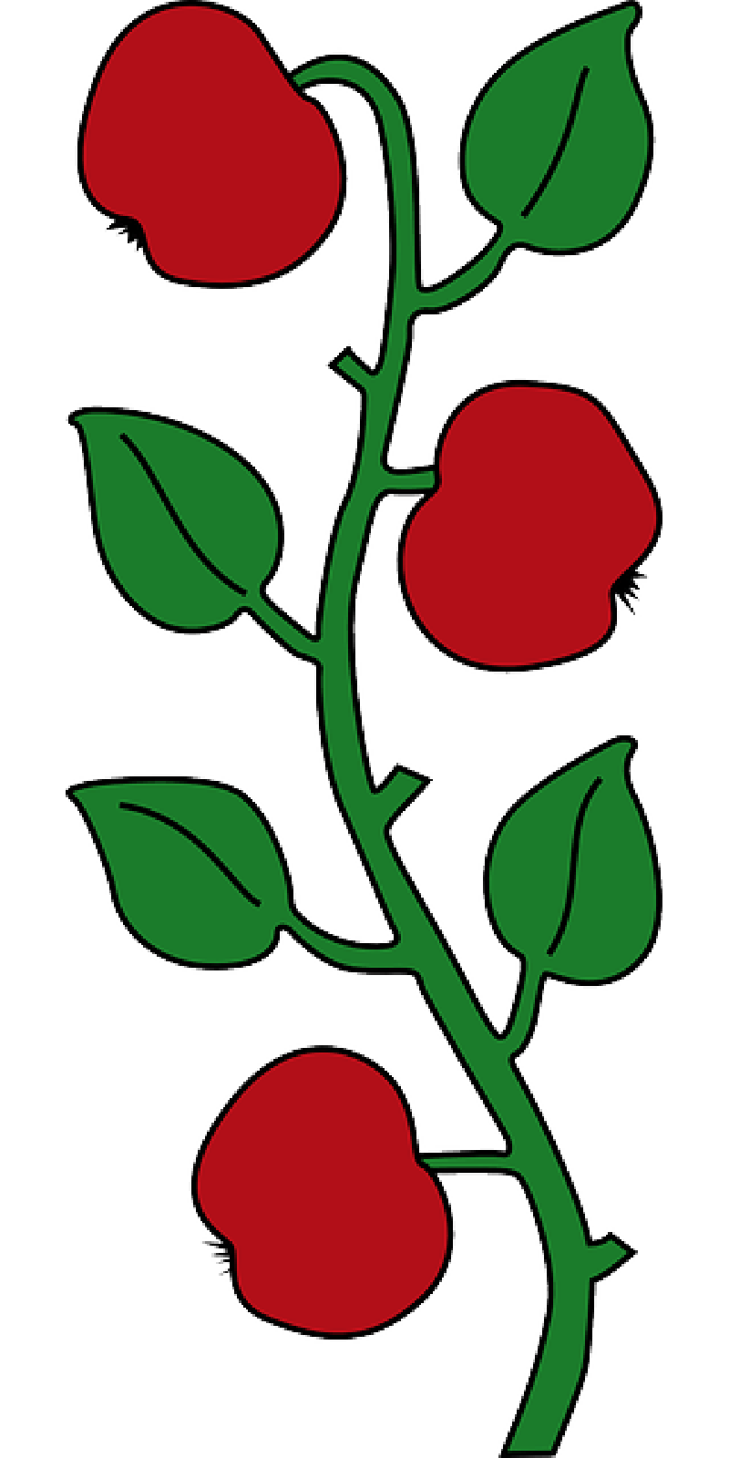 APPLE, FOOD, FRUIT, TREE, BRANCHES, CARTOON, BRANCH - Public ...