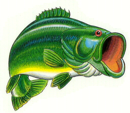 Largemouth Bass Fish Clip Art - Free Clipart Images