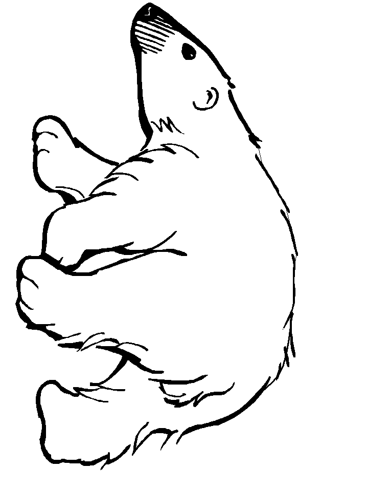 427 views Black And White Pictures Of Bears - ClipArt Best