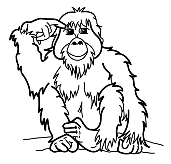 Orangutan Clipart | Free Download Clip Art | Free Clip Art | on ...