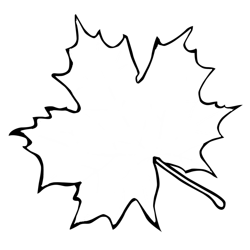 Clipart maple leaf outline