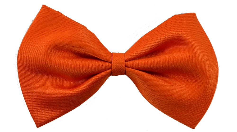 Orange Dog Bow Tie – Gizmo's Dog Shop