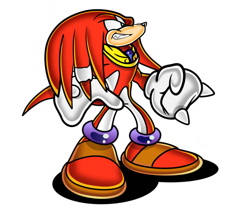 Echidna Cartoon - ClipArt Best