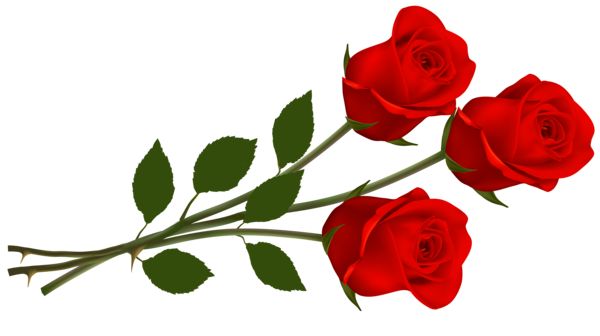 Clip Art Of Red Roses Bouquet Clipart