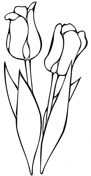 Red Tulips - Free Coloring Pages #8280 to print | coloringpics ...