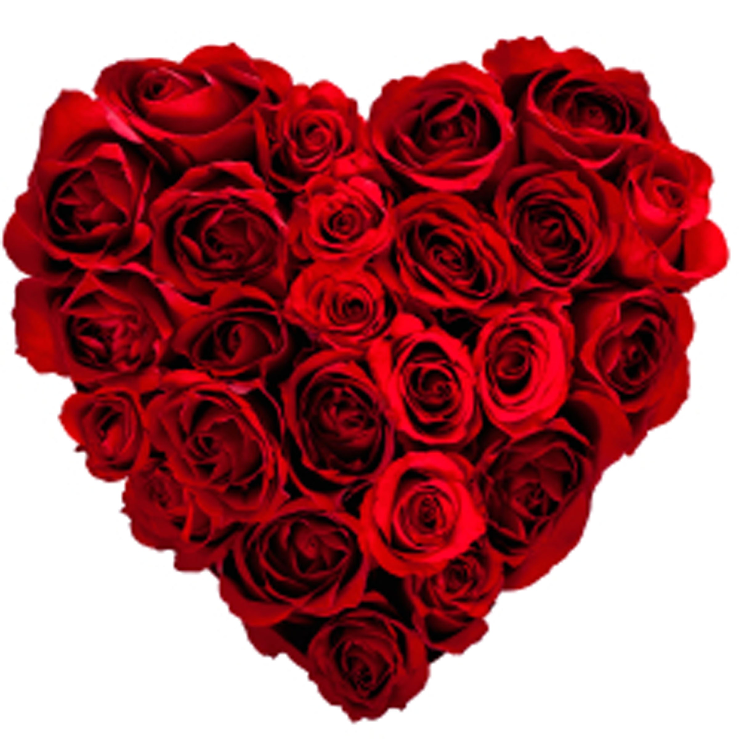 Heart Of Roses - Anniversary
