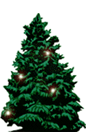 florida christmas tree association clipart best florida christmas tree association clipart best