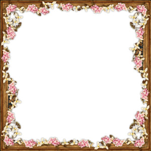 Granny pink and white flower frame 1.png - Polyvore