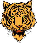 tiger_head_vector_3_thumb.gif