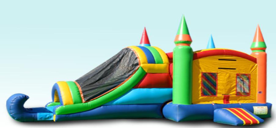 Suwanee Bounce House,Suwanee Inflatables,Suwanee Giant Slide