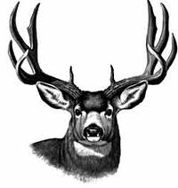 buck-logo-3.jpg