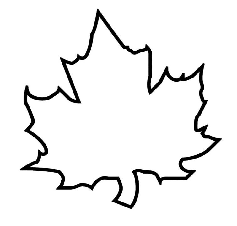 fall leaf clip art outline - photo #3