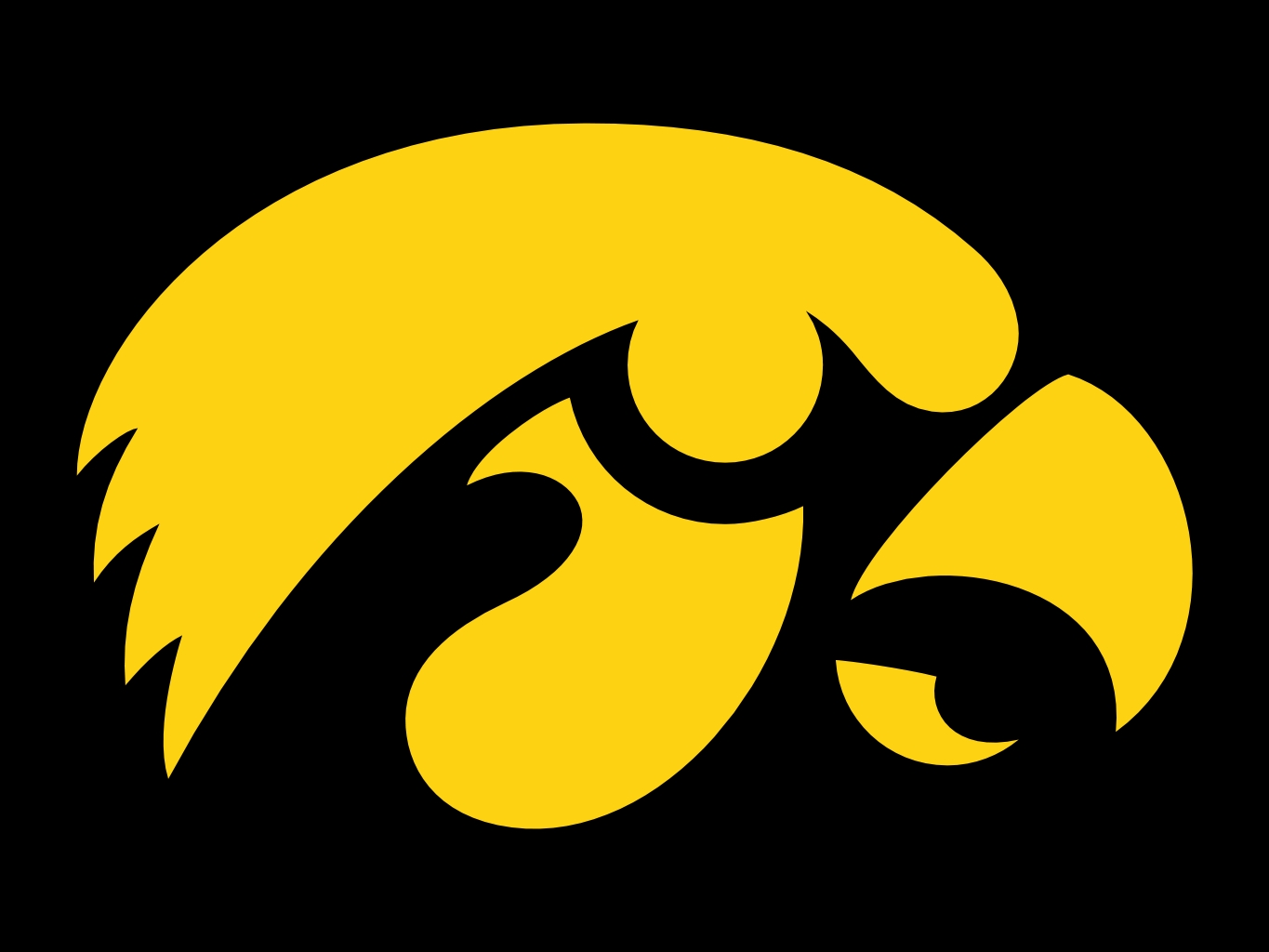 Iowa hawkeyes logo | Goods and internet. All about shopping