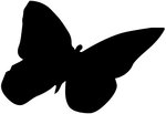 deviantART: More Like Butterfly Silhouette by