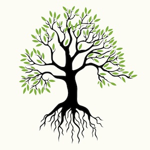Tree Root Soil Clip Art Black and White – Clipart Free Download