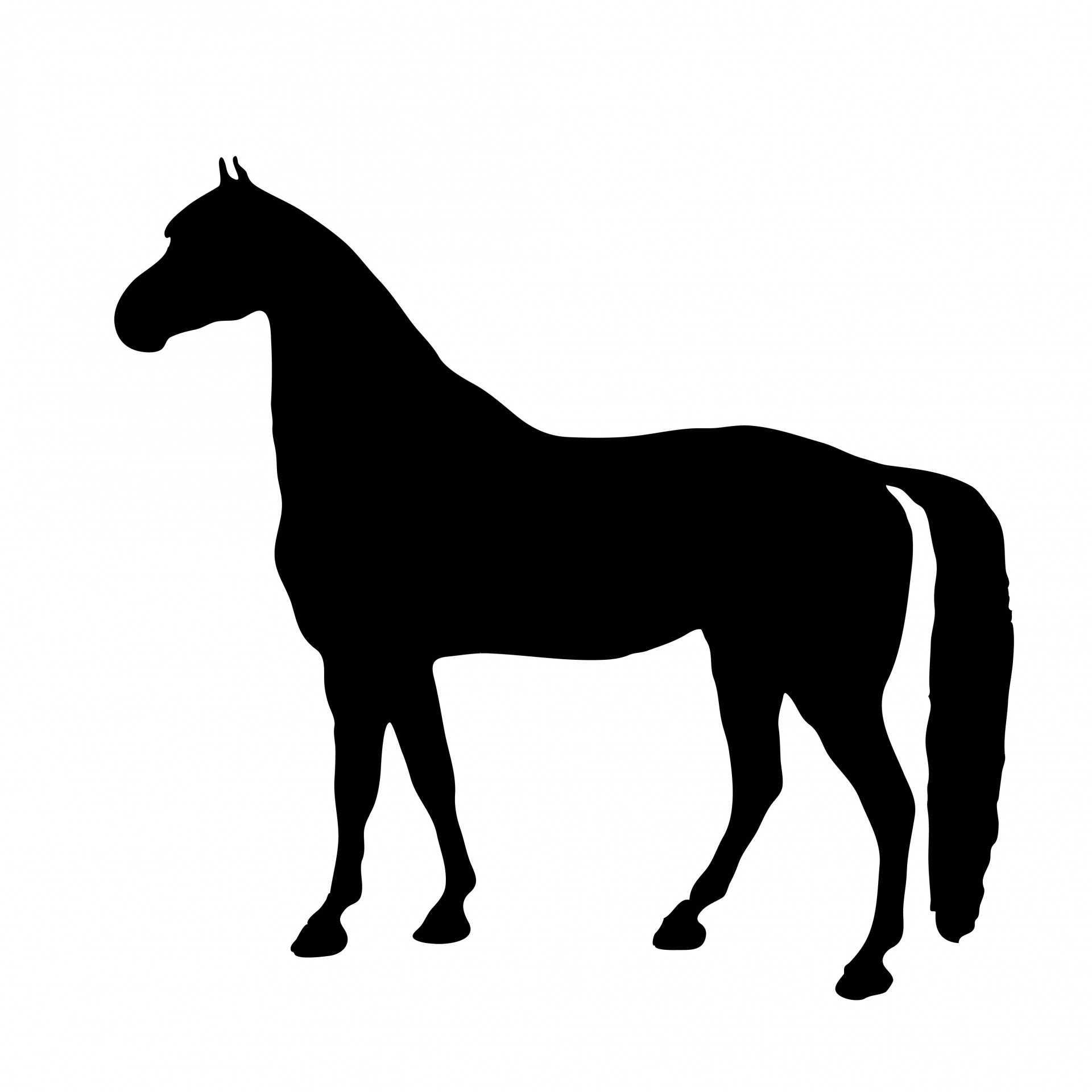 Black Horse Silhouette Images - Public Domain Pictures - Page 1