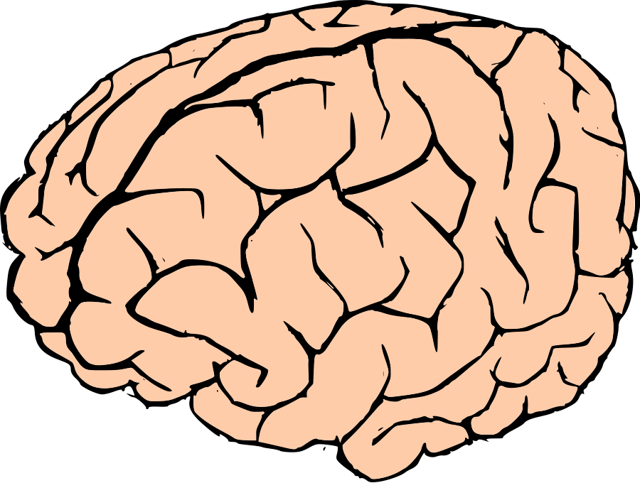 Image result for cartoon image of brain