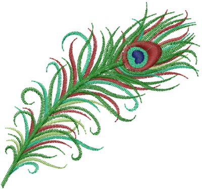 Peacock Feather Designs For - Free Clipart Images