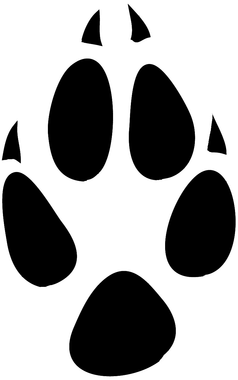 Paw Prints Clipart