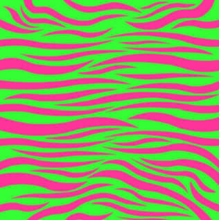 1000+ images about zebra | Neon, Rainbow zebra and ...