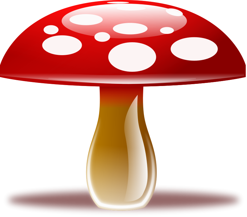 Toadstool Pictures