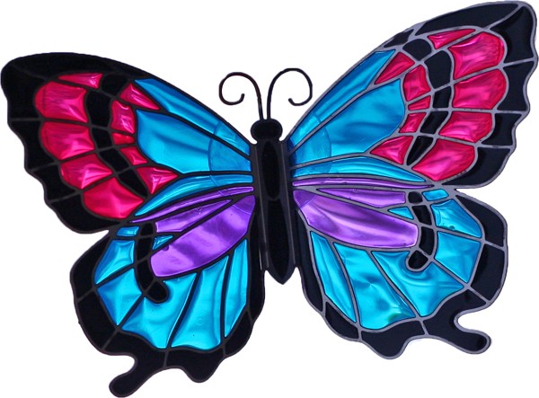 509 views HD Images Butterfly Collection