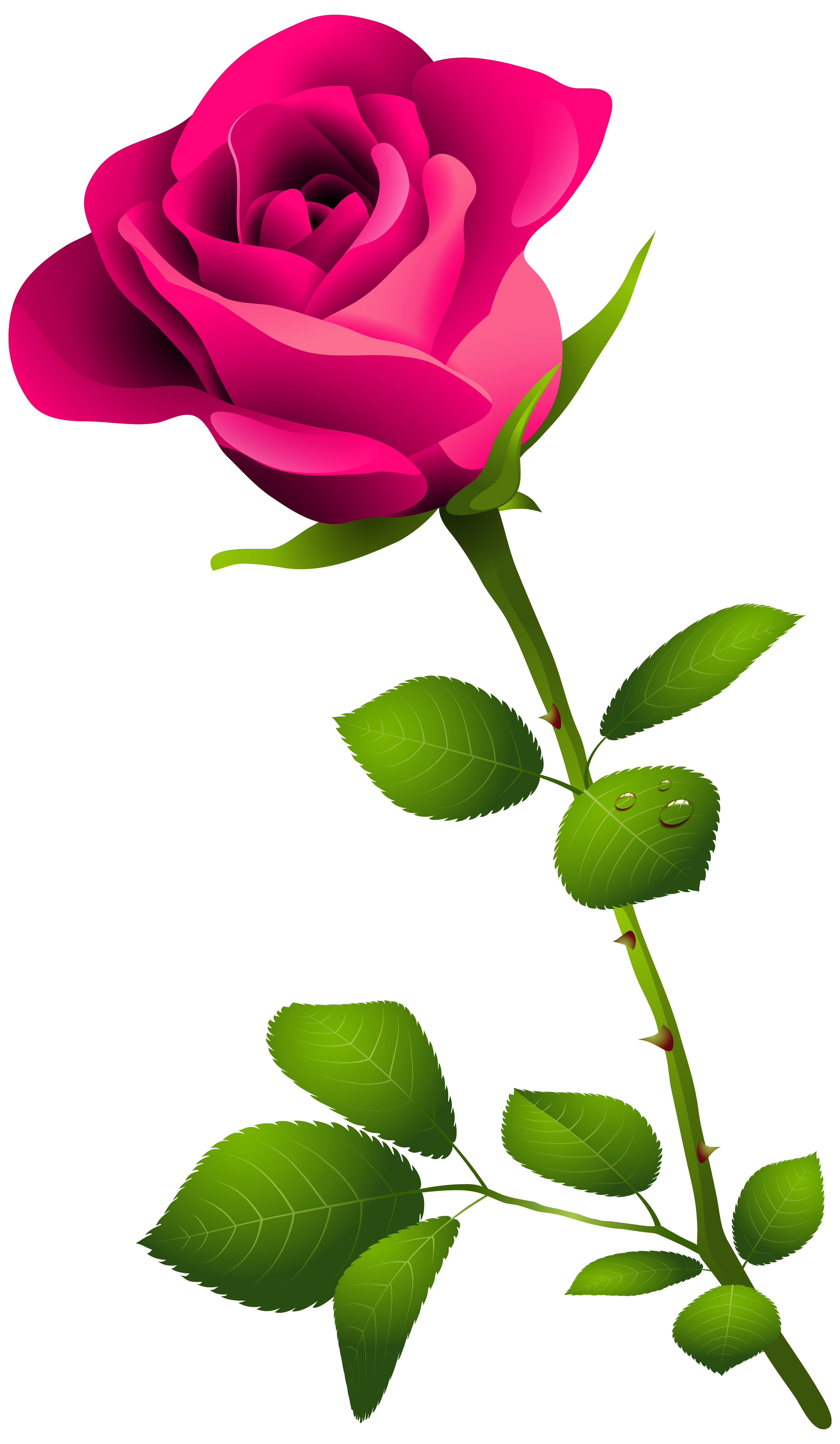 Pink Rose with Stem PNG Clipart Image