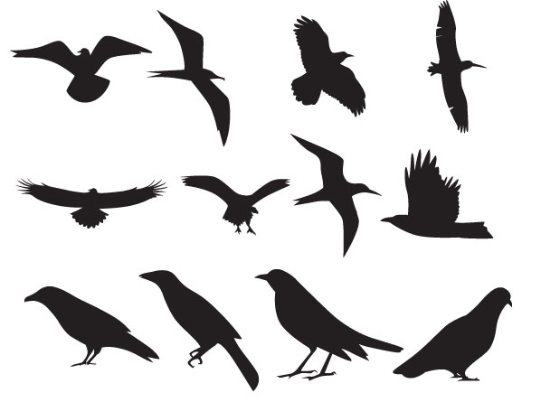 Birds Silhouettes Vector Clipart Pic