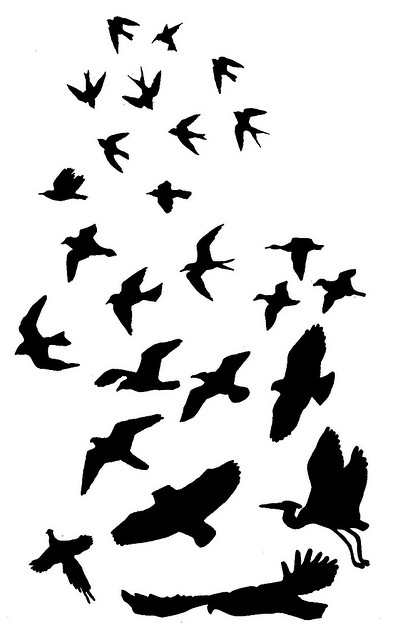 Fabulous Silhouette Of Flying Bird Tattoo Design | Tattoomagz.com ...