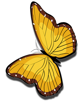 402 views Butterfly Gif Image Art Collection at Best Animations