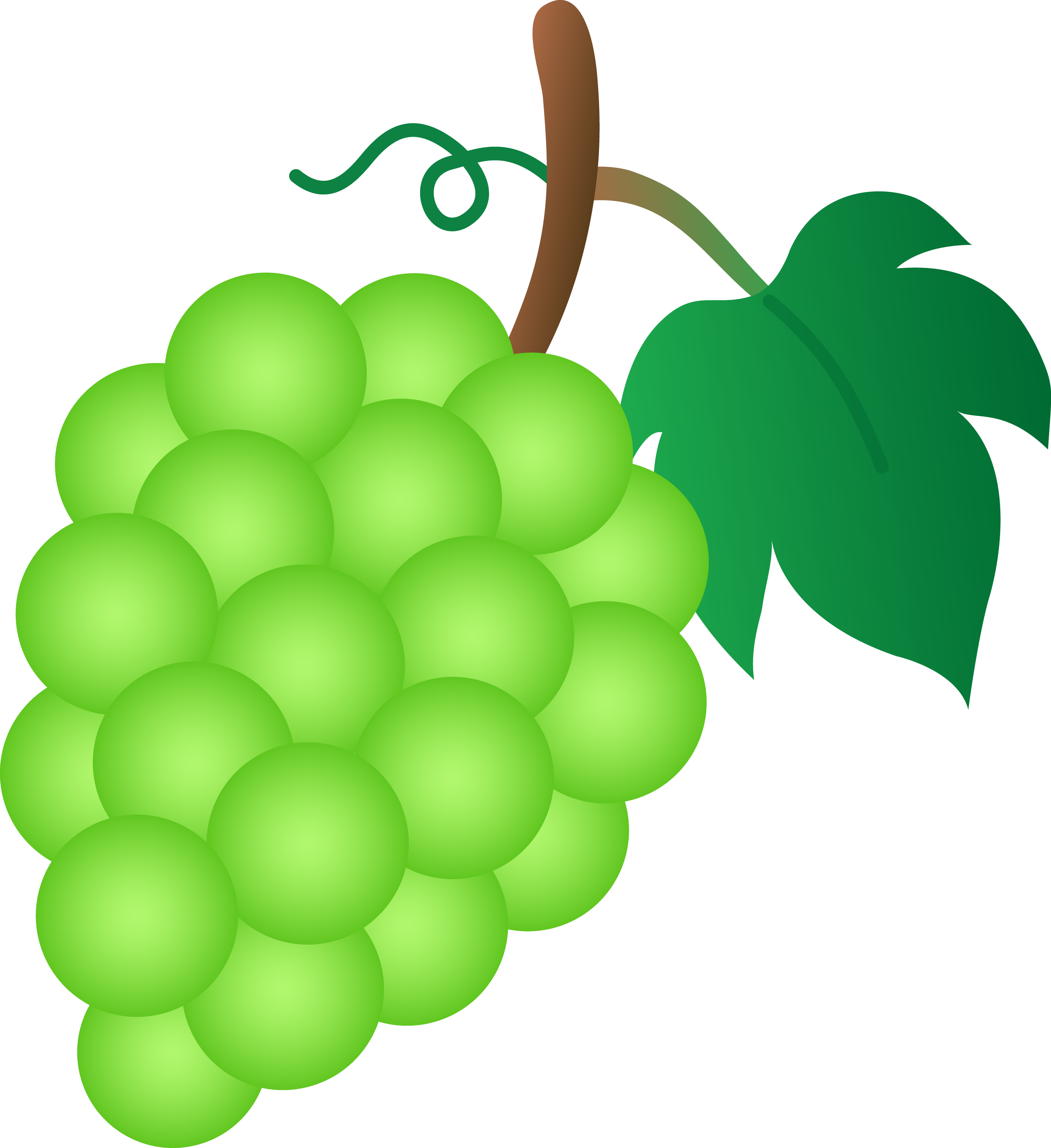clip art grape leaves - photo #15