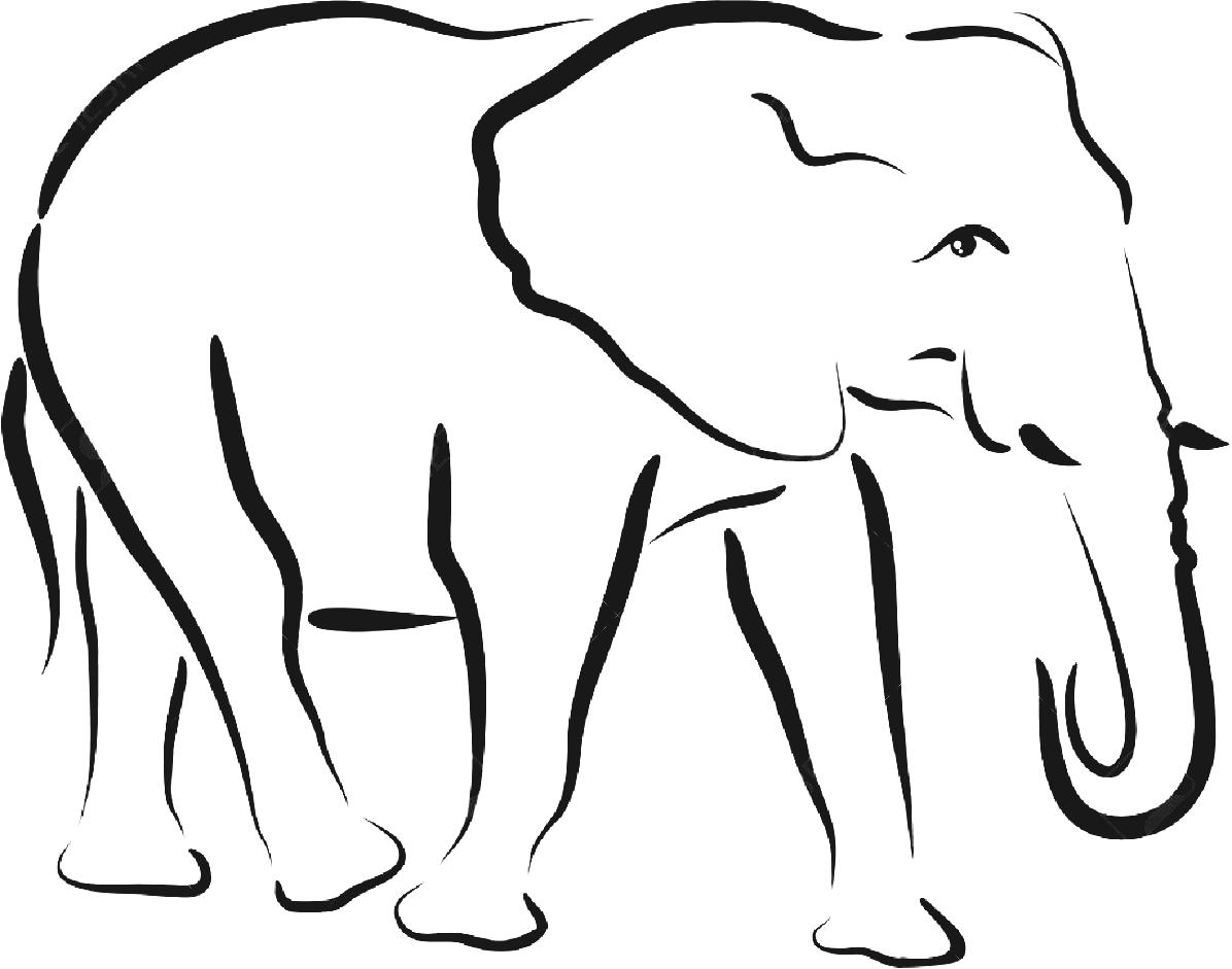 Black And White Elephant Drawing Silhouette Stock Photos Images ...