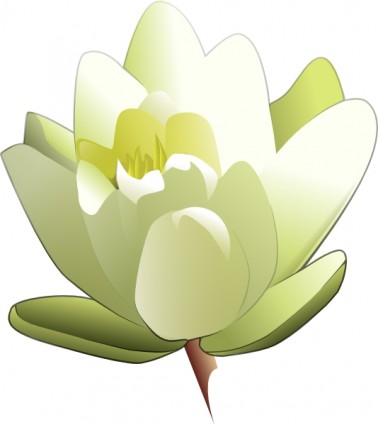 Lily pad flower clipart