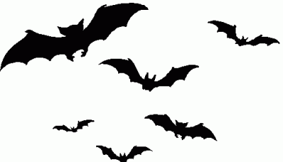 Halloween bats clipart free