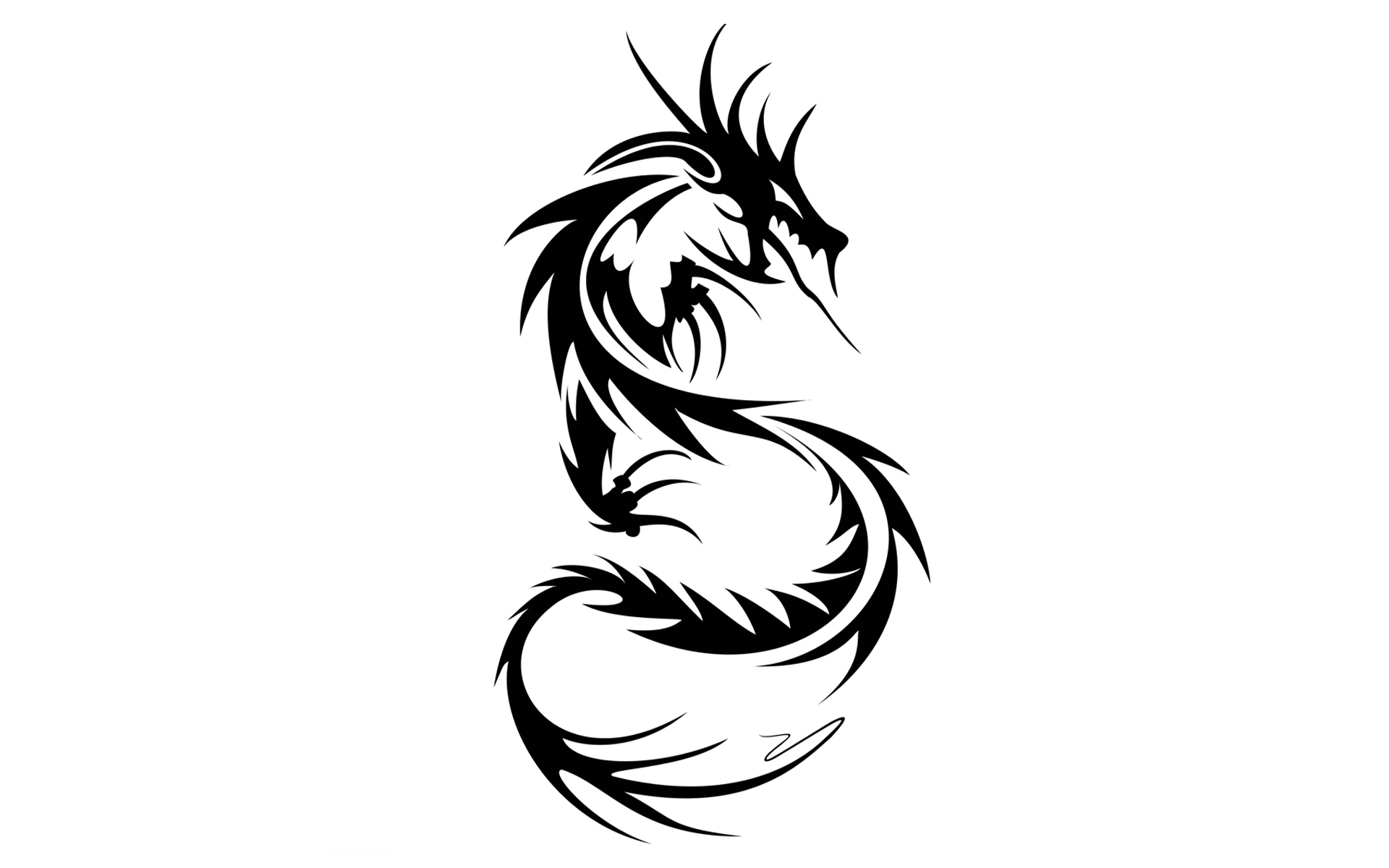 Dragon Tattoo Designs - ClipArt Best