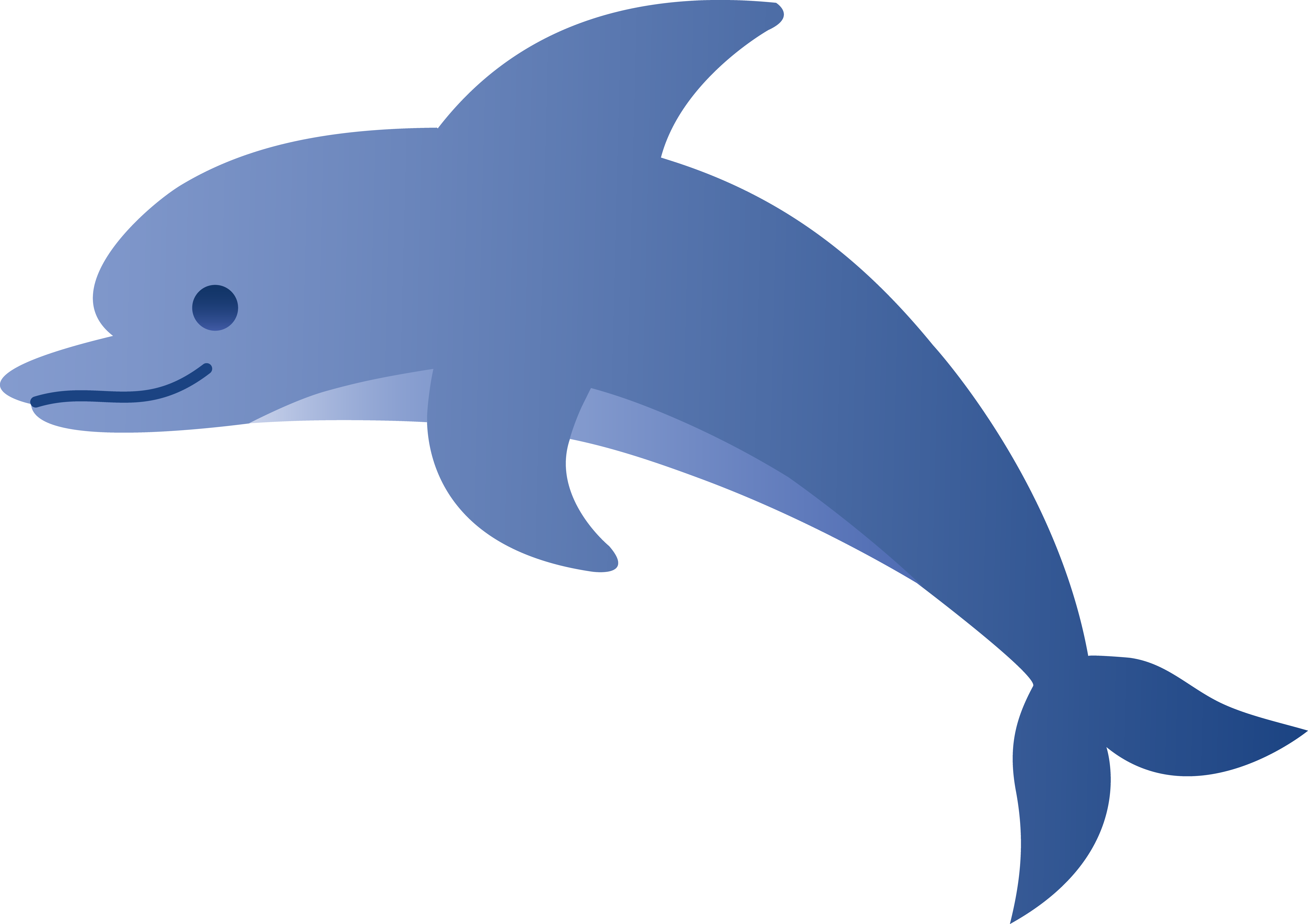 Animated dolphin clipart