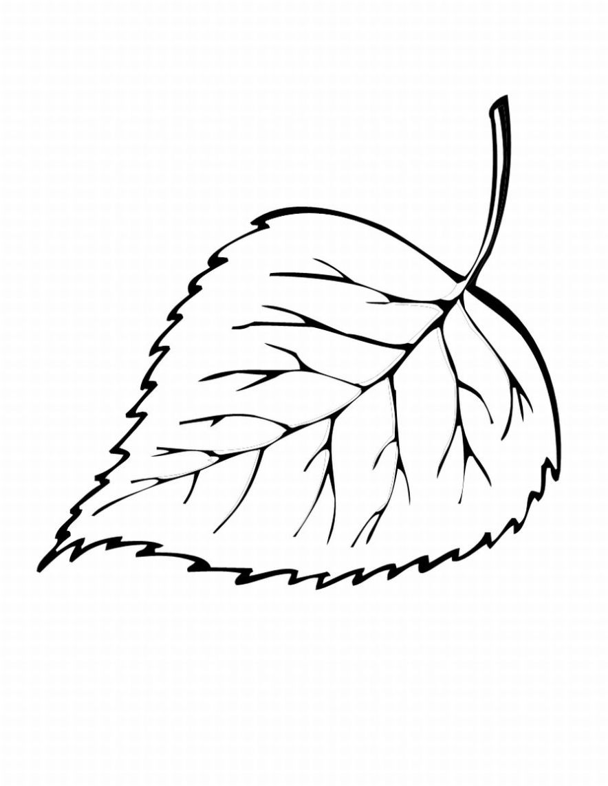 Pumpkin Leaf Printable Clipart