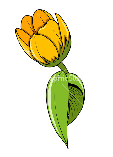 yellow tulip clipart - photo #16