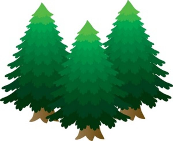 Cartoon Pine Trees